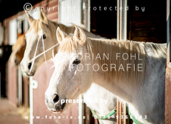 01 - Meutearbeit Jesteburg