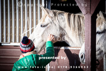 01 - Meutearbeit Jesteburg