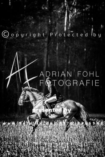 01 - Meutearbeit Jesteburg