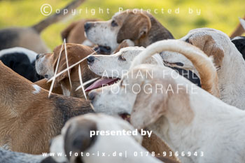 02 - Meutearbeit Gut Schnede