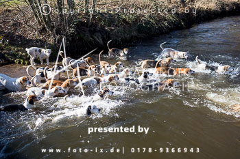 02 - Meutearbeit Gut Schnede 02 - Meutearbeit Gut Schnede