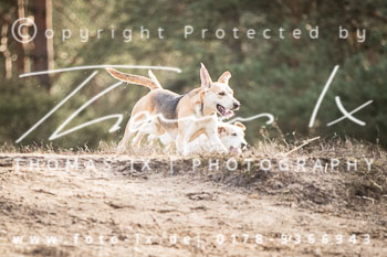 03 - Schleppjagd Hermannsburg