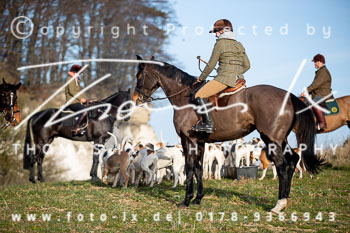 01 - Hundetraining Møn