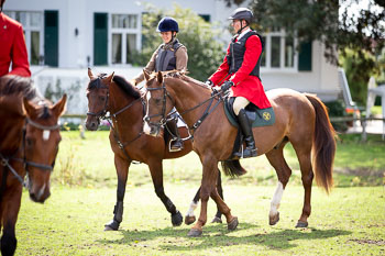 13 - Jagd Rohlfshagen