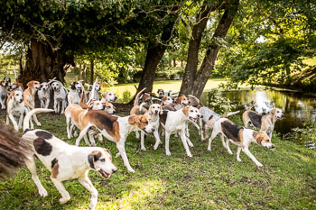 13 - Jagd Rohlfshagen 13 - Jagd Rohlfshagen