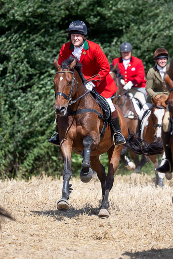 13 - Jagd Rohlfshagen