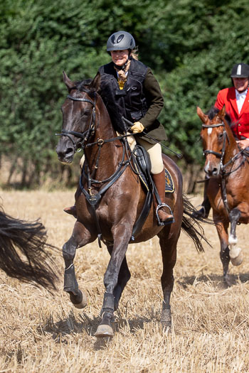 13 - Jagd Rohlfshagen