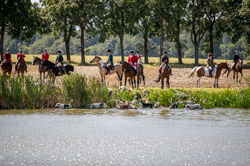 13 - Jagd Rohlfshagen 13 - Jagd Rohlfshagen
