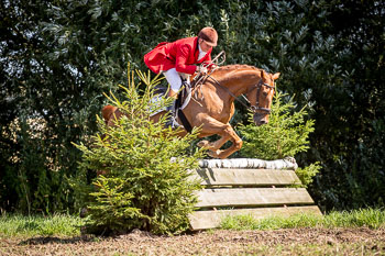 13 - Jagd Rohlfshagen