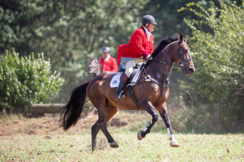 13 - Jagd Rohlfshagen 13 - Jagd Rohlfshagen