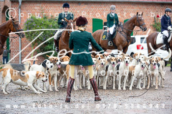 14 - Damenjagd Gut Basthorst