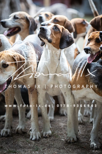 01 - Usedom Cross Country