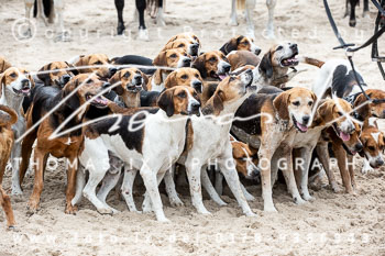 02 - Usedom Schauschleppe Strand