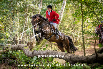 17 - Hammerjagd Rügen