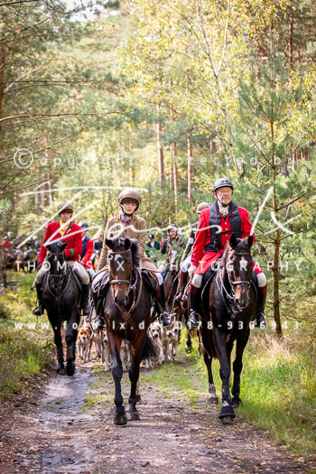 19 - Jagd Hermannsburg