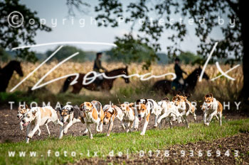 21 - Jagd Mechtersen