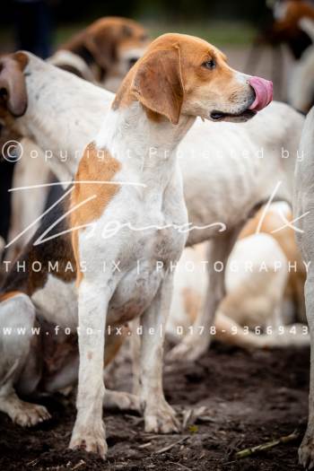 22 - Jagd Heitlingen