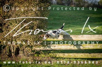 31 - Jagd Thedinghausen