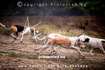 32 - Jagd Hermannsburg