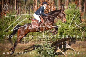 36 Jagd Toppenstedt 36 Jagd Toppenstedt