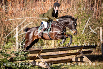 36 Jagd Toppenstedt 36 Jagd Toppenstedt