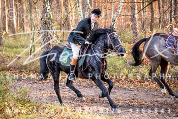36 Jagd Toppenstedt