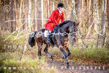 36 Jagd Toppenstedt 36 Jagd Toppenstedt