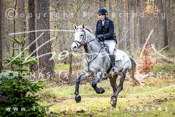 36 Jagd Toppenstedt 36 Jagd Toppenstedt