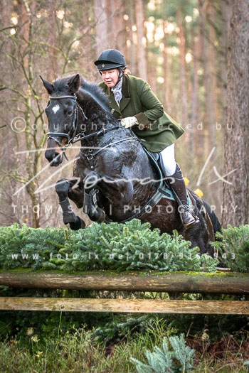 36 Jagd Toppenstedt 36 Jagd Toppenstedt