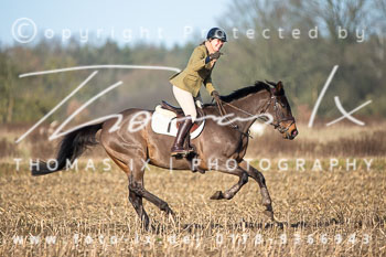 01 - Meutearbeit Jesteburg