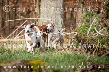 02 - Meutearbeit Solchstorf