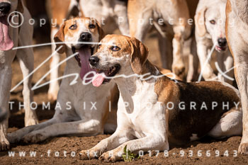 02 - Meutearbeit Solchstorf