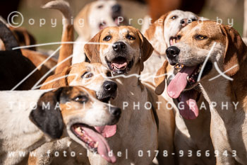 02 - Meutearbeit Solchstorf