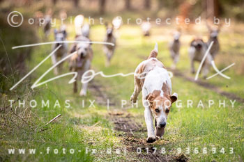 02 - Meutearbeit Solchstorf