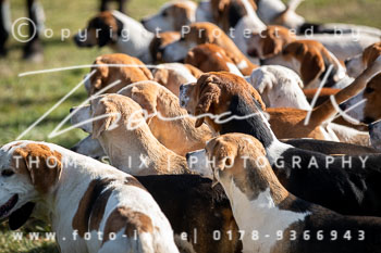 02 - Meutearbeit Solchstorf