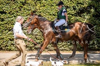 04 - Damenjagd Gut Basthorst