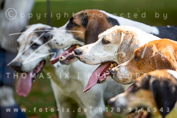04 - Damenjagd Gut Basthorst 04 - Damenjagd Gut Basthorst