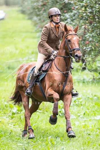 11 - Meutearbeit Gut Schwechow