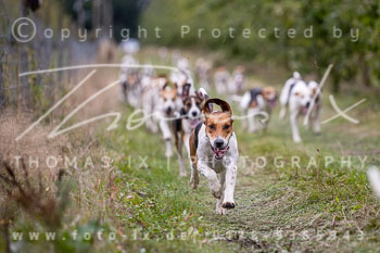 11 - Meutearbeit Gut Schwechow