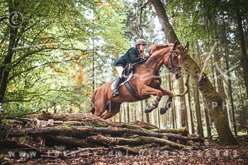 12 - Sko-Jagd Forstgut Rehrhof 12 - Sko-Jagd Forstgut Rehrhof