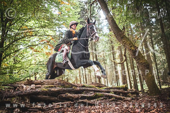 12 - Sko-Jagd Forstgut Rehrhof 12 - Sko-Jagd Forstgut Rehrhof