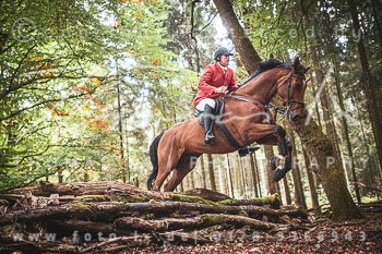 12 - Sko-Jagd Forstgut Rehrhof 12 - Sko-Jagd Forstgut Rehrhof