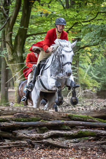 12 - Sko-Jagd Forstgut Rehrhof