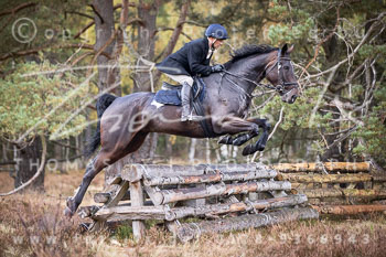 12 - Sko-Jagd Forstgut Rehrhof