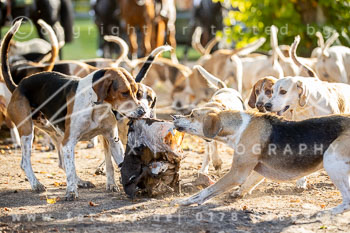 12 - Sko-Jagd Forstgut Rehrhof 12 - Sko-Jagd Forstgut Rehrhof