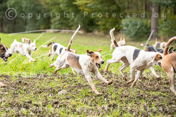 15 - Cross Country Jesteburg