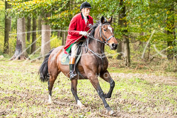 15 - Cross Country Jesteburg 15 - Cross Country Jesteburg