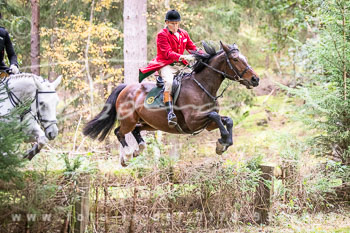 15 - Cross Country Jesteburg 15 - Cross Country Jesteburg