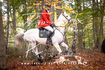 17 - Jagd Negenborn 17 - Jagd Negenborn