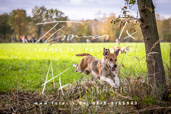 17 - Jagd Negenborn 17 - Jagd Negenborn
